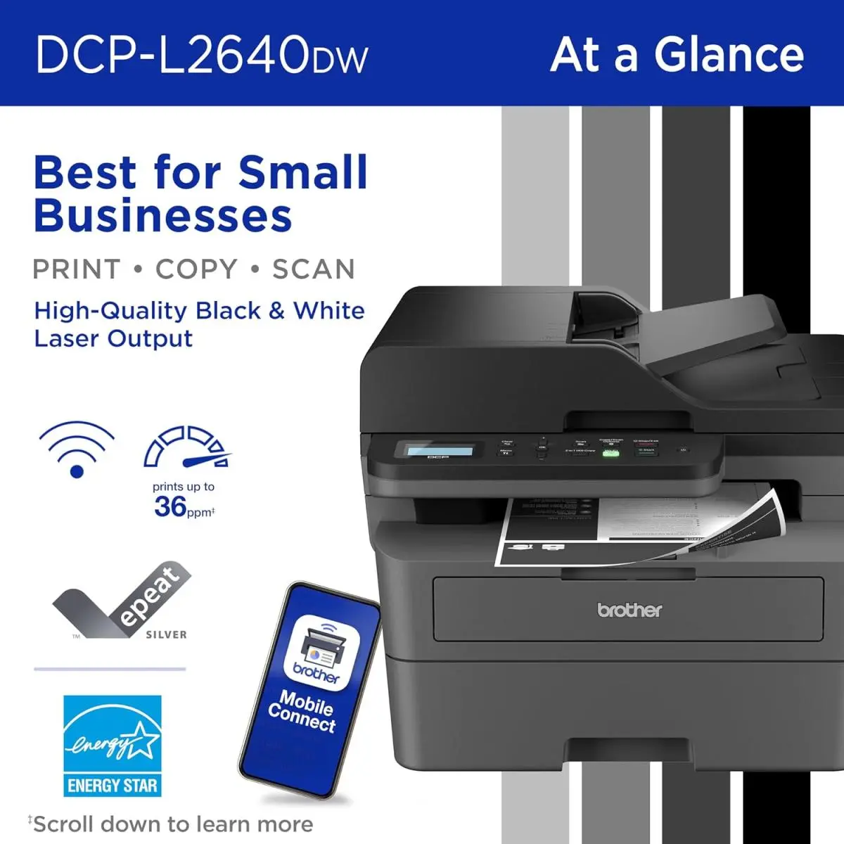 Brother DCP-L2640DW black wireless 3-in-1 mono laser printer showing the automatic document feeder and paper tray